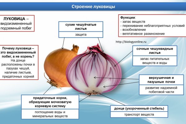 Кракен сайт зеркало рабочее на сегодня