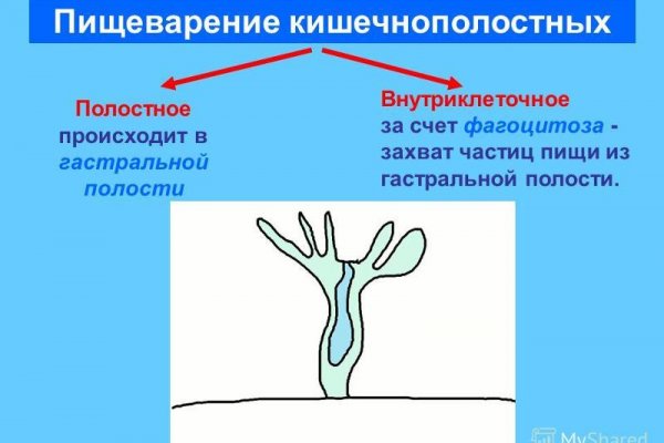 Ссылка на кракен в тор на сегодня