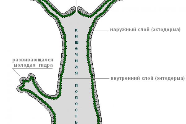 Ссылка на кракен 15ат