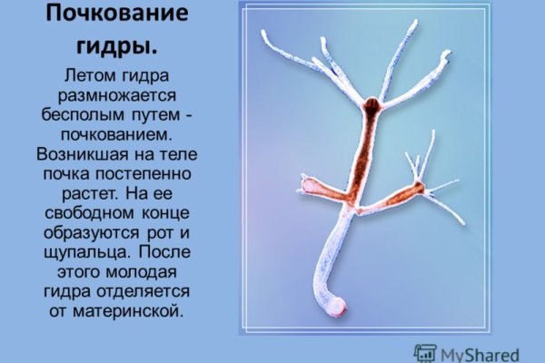 Кракен даркнет аккаунт