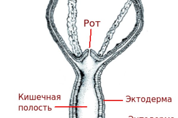 Вход в кракен